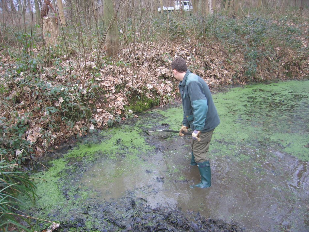 Photo de l'entretien d'une mare