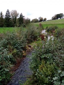 Photo d'un cours d'eau