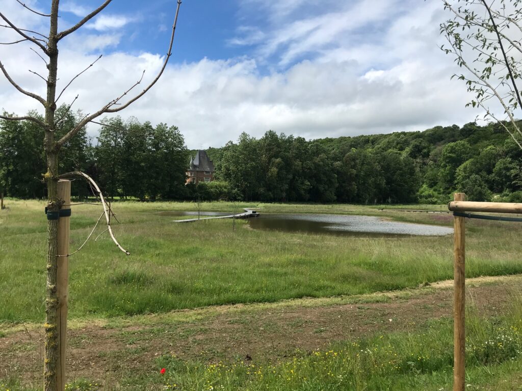 Plan d'eau et zone humide
