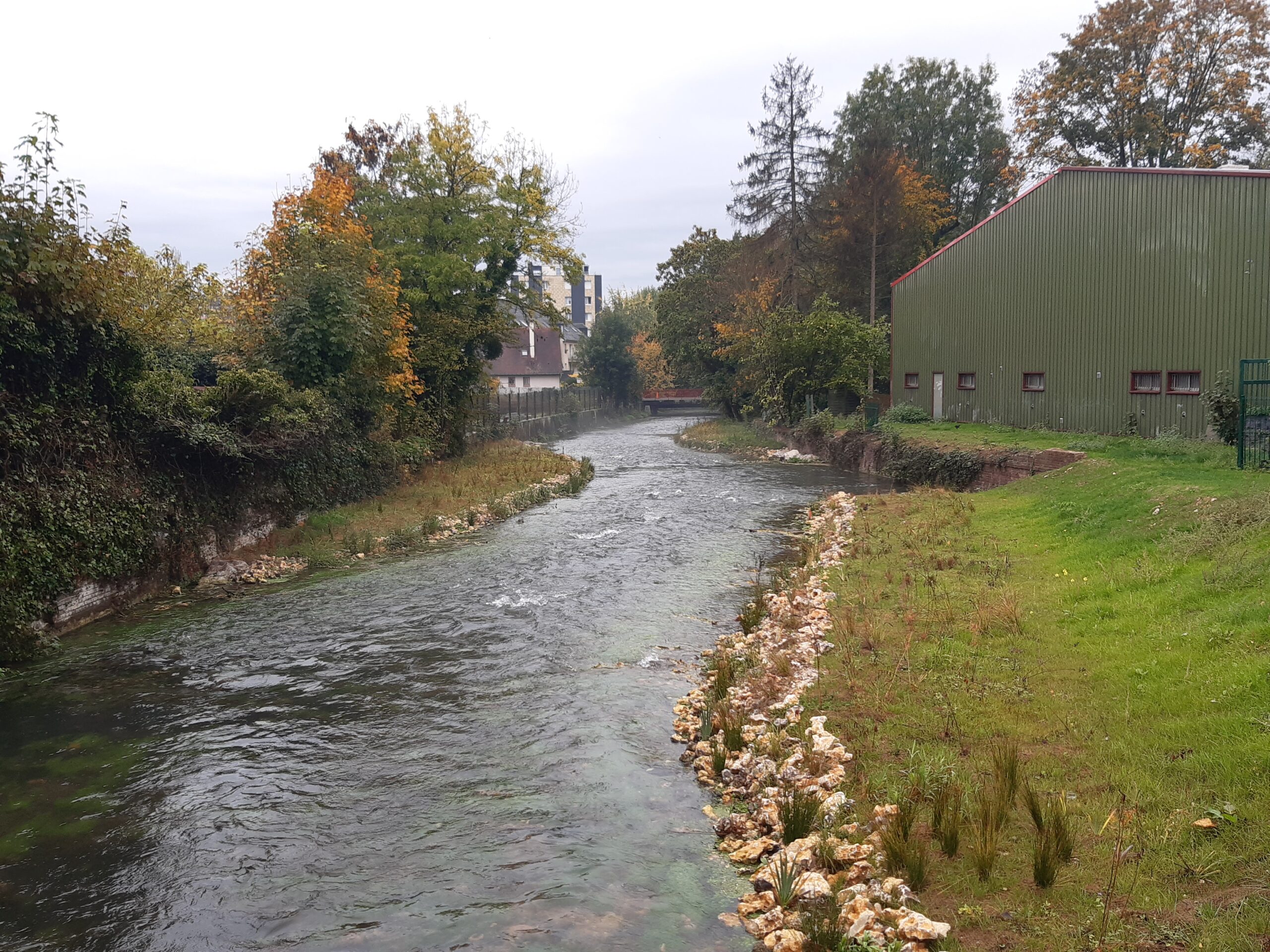Vue d'une rivière après travaux visant à lui donner un caractère plus naturel