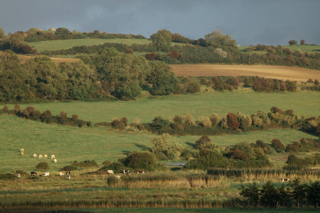 Paysage bocager