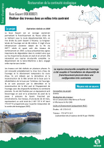 thumbnail of REX cours d’eau – RCE Buse Gayant