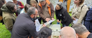 Groupe s'entraînant à identifier des écrevisses