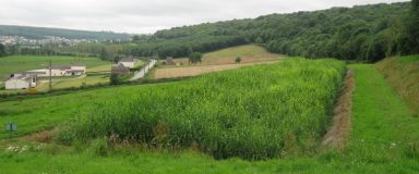 Auceaumeville
