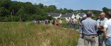 Groupe parcourant un chemin en platelage dans une zone humide