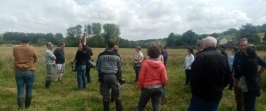 Groupe écoutant un intervenant dans un espace naturel