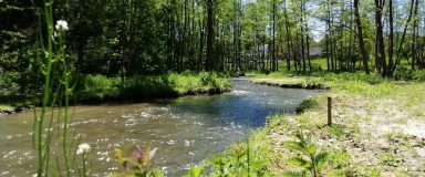 Rivière traversant un bois dans un cadre naturel