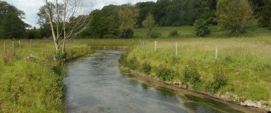 Photo d'un cours d'eau
